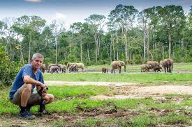 Image result for Zanha africana