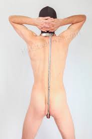 Anal hook with Collar / Anal Bondage Gear makes every move intense  sensation for the wearer!