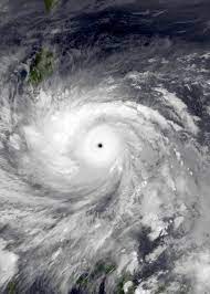 Typhoon Haiyan - Wikipedia