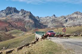 That changed as crypto emerged from its niche into. Why Cryptocurrency Markets Defy The Laws Of Economics Bank Underground