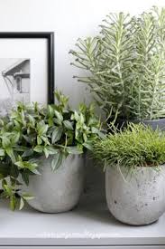 Ein Schweizer Garten 3m Oder Wie Der Schreiner Kann S Keiner Jardinagem E Decoracao Jardinagem Em Vasos Ideias De Jardinagem