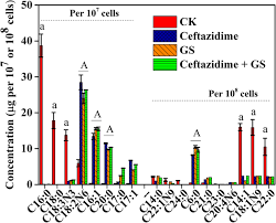 Gene Expression Concerning Fatty Acid And Amino Acid Metabolism In Chlorella Vulgaris Cultured With Antibiotics Springerlink