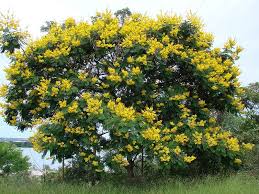 Check spelling or type a new query. Store