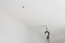 Modern technology and some old fashioned workarounds are the answer. How To Hang A Plant From The Ceiling 5 Steps With Pictures Instructables