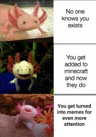 The right song can help you get through trouble. Axolotl Know Your Meme