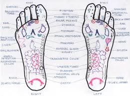 51 Right Nerve Endings In Feet Chart