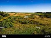meadow landscape Holmers-Halkenbroek, Netherlands, Drente ...