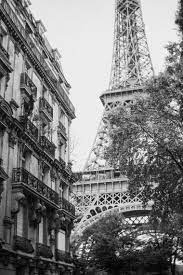 40 Stunning Black And White Iphone Wallpaper Backgrounds For Free