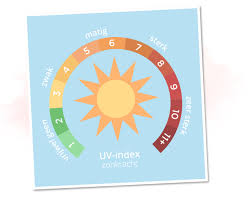 Vitamine D En De Zon Een Overzicht Van De Laatste Studies Dr Jetske Ultee