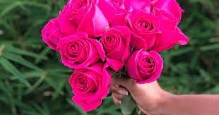 Best selling flowers and floral arrangements. Which Flowers Say I M Sorry The Best Bouqs Blog