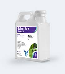 —spray egg masses with golden pest spray oil (stoller enterprises inc.). Golden Pest Spray Oil Pesticide For Organic Crops Stollerusa