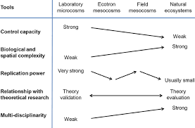 Frontiers How To Integrate Experimental Research