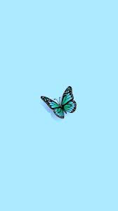 Also explore thousands of beautiful hd wallpapers and background images. Teal Butterfly Wallpapers Top Free Teal Butterfly Backgrounds Wallpaperaccess