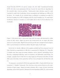 Recently, deep learning methods such as recurrent neural networks like as lstms and. Cell Detection With Deep Convolutional Neural Network And Compressed Sensing Deepai