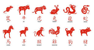 Chinese Zodiac Sign Classification Challenge With Pytorch By M Rake Linggar A Towards Data Science