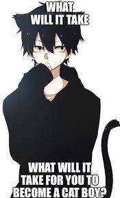 Cat Boys Stupid Memes Funny Video Memes Catboy