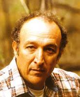 Willard captains Class AA all-state baseball team