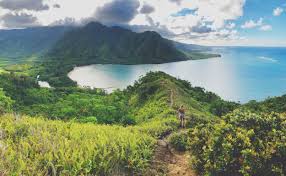 Maybe you would like to learn more about one of these? Crouching Lion Hike Mischief Caterina Caligiuri Design