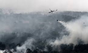 Pembakaran terbukapembakaran pokok tua di kawasan ladang untuk tujuan penanaman semula banyak partikel jelaga. Menteri Tuduhan Syarikat Malaysia Buat Pembakaran Terbuka Di Indonesia Sangat Serius Free Malaysia Today Fmt