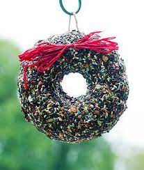 Wild Bird Seed Wreath Holiday Decorative And Charming Wreath Is Made From Seed To Feed Your Feathered Friends The Holiday Birdie Wreath Holiday Wreaths Garden Gifts Gardening Supplies
