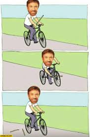 Stick In Bike Meme