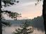 Belleplain State Forest