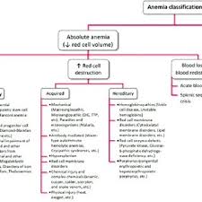 66 Thorough Anemia Flow Chart Mcv