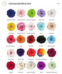 Pin By Bethany Maker On Roses Rose Color Meanings Flower Meanings Flower Names