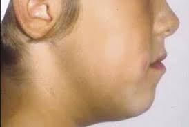 05 editorial 03.indd