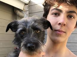 Mitchell Halpern's Instagram, Twitter & Facebook