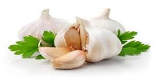 The idea of using garlic for hair growth stimulation is nothing new. Benefits Of Garlic In Hair Growth Afroculture Net