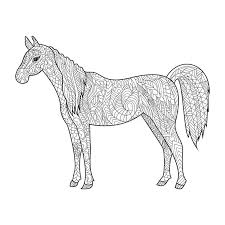 La moda dei mandala impazza da tempo fra gli adulti e. Libro Da Colorare Del Cavallo Per Il Vettore Degli Adulti Illustrazione Vettoriale Illustrazione Di Etnico Monocromatico 69679524