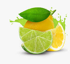 Which is better lemon or lime? Transparent Lemon Clip Art Transparent Lemon Lime Png Png Download Kindpng