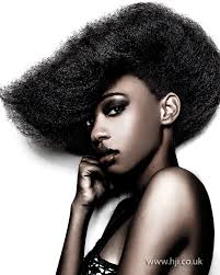 Hair Photos taken by Nina Levy Photography