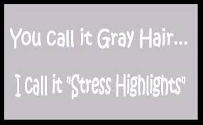Thus the cultural pressure for black women like ifemelu to straighten, dye, or somehow make their hair look more like a white woman's hair becomes a symbol of the racism inherent in american culture. Quote Pictures You Call It Gray Hair I Call It Stress Highlights