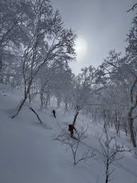 Powder skiing today here in Japan. Himalaya-Alpine.com