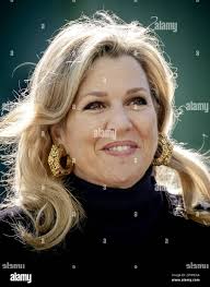 Robin with daffodils hi-res stock photography and images