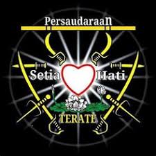 Gambar gambar sh 1 png download logo psht setia hati sapawarga mempunyai banyak koleksi gambar seperti wallpaper psht keren for android apk download 05 11 2020 kategori logo psht keren psht wallpaper hd dll. 40 Gambar Logo Psht Hd Terlengkap Koleksi Gambar Logo