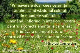 Distribuiți pe twitter distribuiți pe facebook trimiteți către pinterest. Primavara Home Facebook