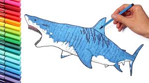 Shark is one of the most dangerous fish in the ocean, but it's so familiar with all kids in many cartoon films, images. Coloring Pages For Kids Learn Colors With Shark How To Draw Sea Animals Shark Youtube