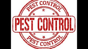 Don't see your favorite business? Miami Beach Pest Control Termite Best Miami Pest Control And Termite Tenting Services 305 547 8869 Florida Bedbug Rodent And Insect Removal