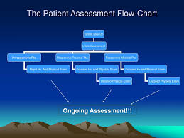 Ppt Patient Assessment Powerpoint Presentation Free