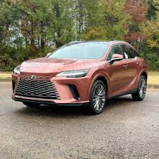 Image result for Copper Crest 2024 RZ