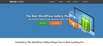 The plugin includes support for video galleries . 9 Best Wordpress Gallery Plugins Compared 2021