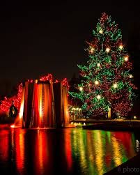 Holiday Reflection Colorado Christmas Christmas Lights Denver Botanic Gardens