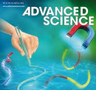 Advanced Science: Vol 12, No 16