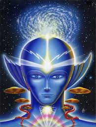 MACEDOBD's collection