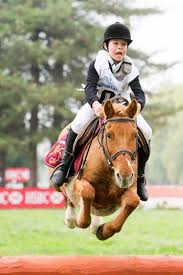 Pin On Horse Stuff