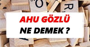 Ahu Gozlu Ne Demek Ahu Gozlu Tdk Sozluk Anlami Tdk Anlami Haberleri