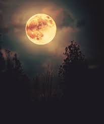 Beautiful night picture of moon. Good Night Moon Via Tumblr Image 2834868 On Favim Com